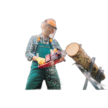 Fierastrau electric cu lant (drujba), Einhell, GP-LC 36/35 Li-Solo, lama 35 cm - imagine 2